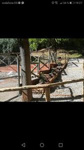 Cabañas rurales la vega