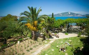 Koklas Studios Zakynthos Greece