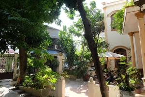 Moon house tropical garden - Valentine