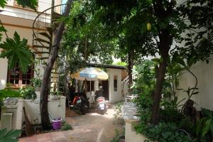 Moon house tropical garden - Valentine