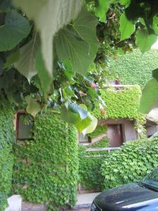 Appart'hotels Sole e Mare : photos des chambres