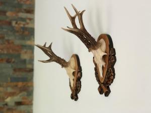 Am Holzmeisterweg 31 "Welzis"