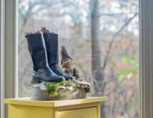 Apartamentai N&eacute;gy &Eacute;vszak Vend&eacute;gh&aacute;z Noszvaj Vengrija