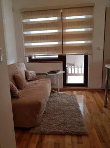 Apartment room in Zlatibor Lilly