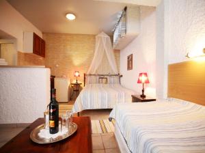 Villa Christina Spetses Greece