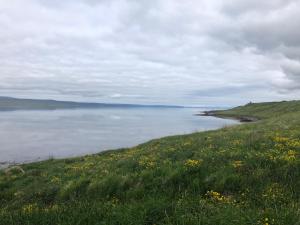 Bessastaðir Guesthouse