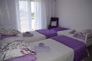 Villa Zorana hostel