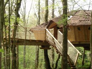 B&B / Chambres d'hotes Insolite dans les arbres Les Ormes, Epiniac : photos des chambres