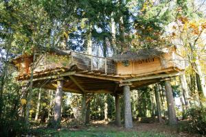 B&B / Chambres d'hotes Insolite dans les arbres Les Ormes, Epiniac : photos des chambres