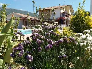 Bed & Breakfast Ciancaleoni - Rivotorto