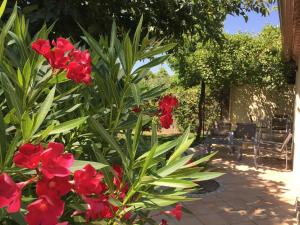 Maisons de vacances Gite Chez Un Producteur de Fruits. : photos des chambres