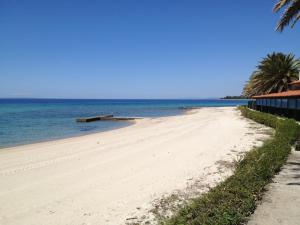 Happy Camp mobile homes in Castello Camping & Summer Resort