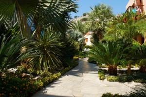 Iapetos Village Symi Greece