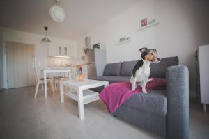 Feniks Apartamenty 8 by Jantar Apartamenty Kołobrzeg