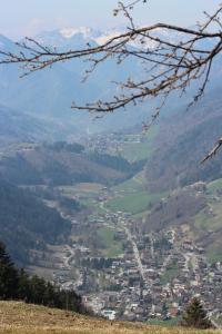 Chalets chalet artheis : photos des chambres