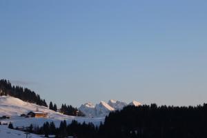 Chalets chalet artheis : photos des chambres