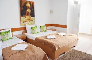 Pensiunea Vila Chesa