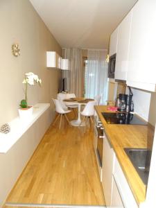 Medvědín Apartmán 106