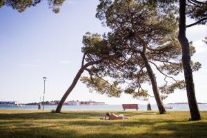 Venezia Biennale Bianco & Rosso