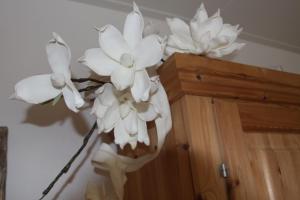 B&B Molenaar