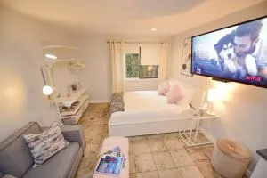 Newly Renovated Whistler Studio - Garibaldi