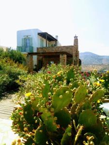 The Hill Top House in Kea Kea Greece