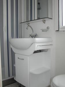 Campings Camping Moulin de Collonge : Mobile Home (2 Adultes) 
