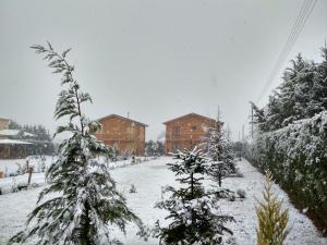 Kastor Chalets Kastoria Greece