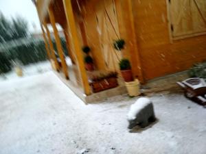 Kastor Chalets Kastoria Greece