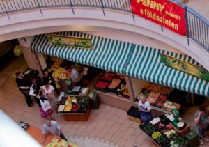 1,5 szobás lakás terasszal,közel a Széchenyi fürdőhöz