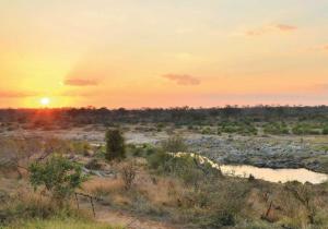 Kruger National Park Mjejane Private Game Reserve