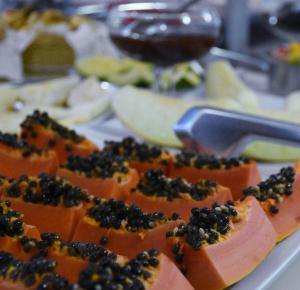 Hotel Village Campinas