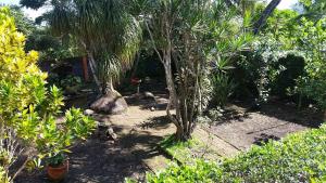 Posada Los Chaneques Catemaco