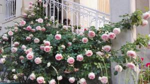 Villa Hestia photo 9