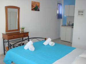 Tinos apartments Zalonis Tinos Greece