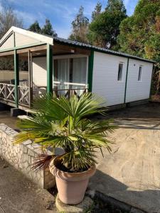 Campings Camping Le Ruisseau : photos des chambres