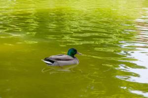 Charming City Centre Apartment