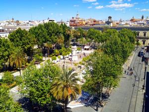 Plaza Nueva, 7, 41001 Sevilla, Spain.
