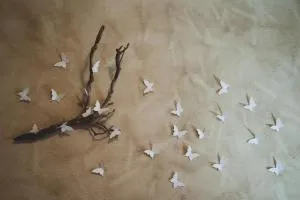 Casa Scalet - 特兰萨夸