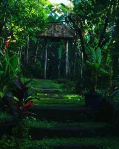 bucu hidden guest house, and meditation center - 帕洋安