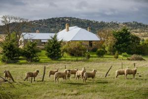 Shearers Quarters Rathmore
