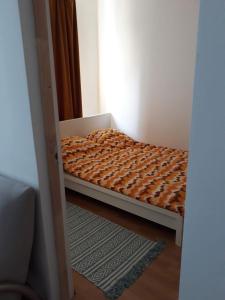 Transylvanian Modern Apartments