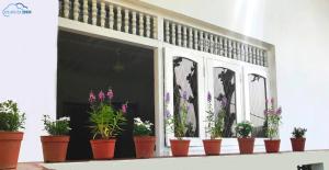Cloud Inn Kandy Homestay - Near Temple of Tooth