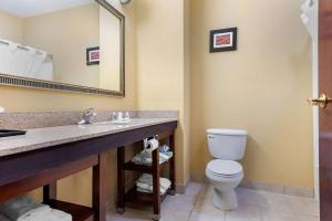 King Suite with Sofa Bed - Non-Smoking room in Comfort Suites Findlay I-75