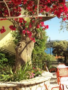 Hotel Nostos