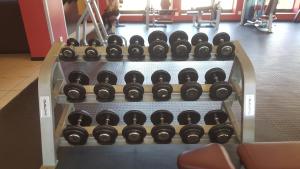 Strelitzia Apartment