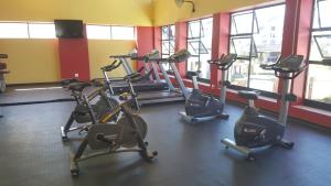 Strelitzia Apartment