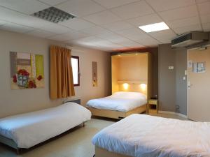 Hotels Hotel Le Saint Vincent Lyon Sud : photos des chambres