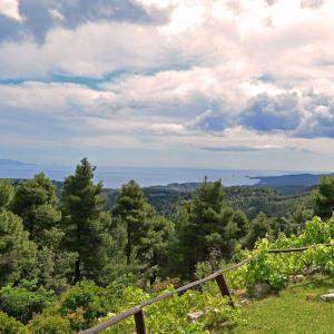 Agnanti Hostel Evia Greece