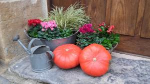 Casona de San Pantaleón de Aras
